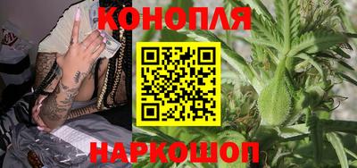 прущие грибы Севастополь