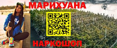 прущие грибы Севастополь