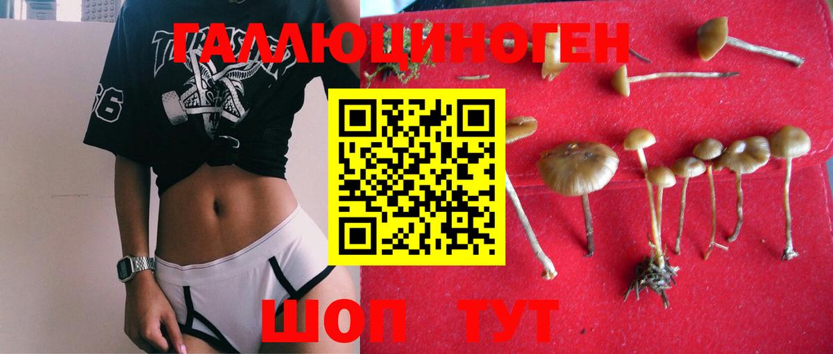 Галлюциногенные грибы Magic Shrooms Саяногорск